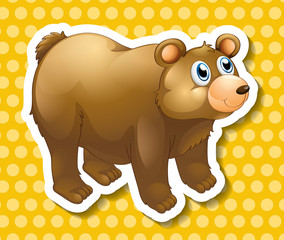 Bear