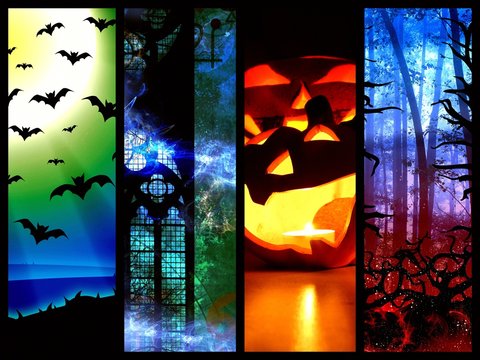 halloween pumpkin bats and forest -l mystic background