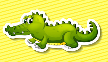 Crocodile