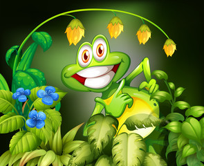 Frog and flower