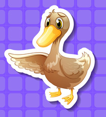 Duck