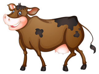 Cow