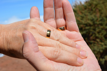 Two Hands. Man And Woman Hands.