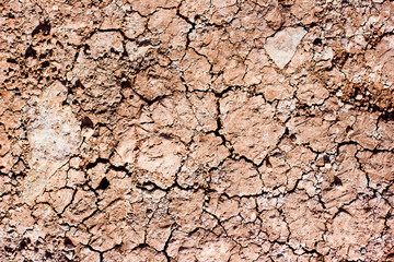 Dry cracked ground texture. 