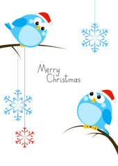 Cute little birds with Christmas snowflakes