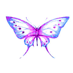 butterflies design
