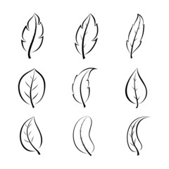 Leaf line design