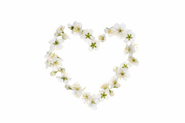 Herz aus weißen Blüten
