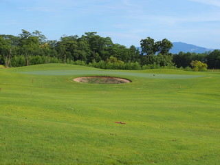 green of golf course