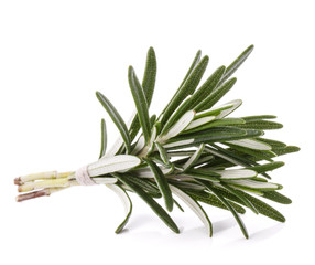 rosemary herb spice leaves isolated on white background cutout