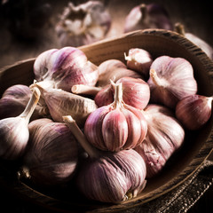 garlic bulb on rustic wooden background