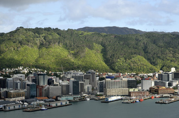 Wellington downtown cityscape, NZ © leospek