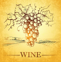 Wine label with grapes . bunch of grapes
