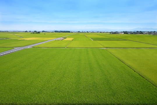 田園風景