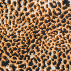 texture of fabric striped leopard