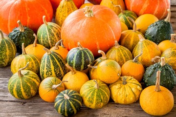 ripe organic colored pumpkins