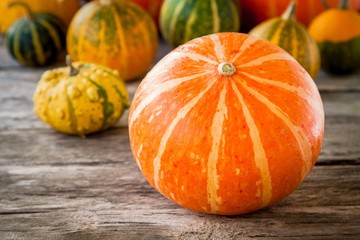 ripe organic colored pumpkins