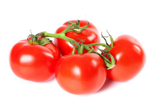 Bunch of ripe tomato
