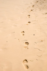 Footprints in the background sand