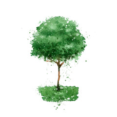 Tree With Roots Logo photos, royalty-free images, graphics, vectors