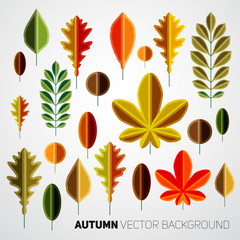 Fototapeta premium Autumn abstract floral background pattern, Colorful vector leafs