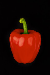 rote paprika auf schwarzen Hintergrund