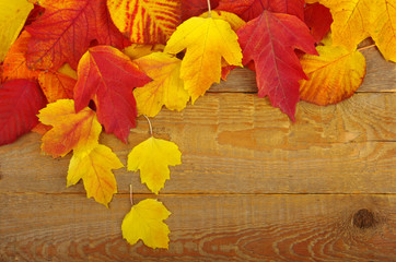 Obraz na płótnie Canvas autumn background