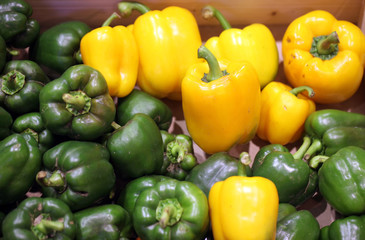 Obraz na płótnie Canvas Green and yellow pepper