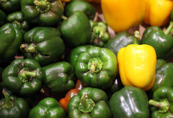 Fototapeta na wymiar Green red and yellow pepper