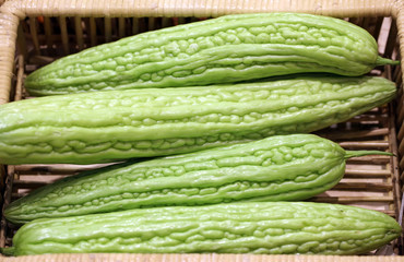 Bitter Cucumber, Bitter gourd