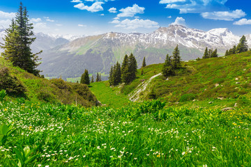 View to Swiss Alps from the top of Madrisa mountain, Davos, Gris