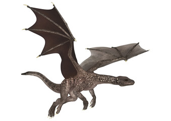 Fototapeta premium Fantasy Dragon