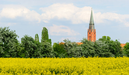 Kirchturm St. Martin in Nienburg an der Weser hinter Marschlands