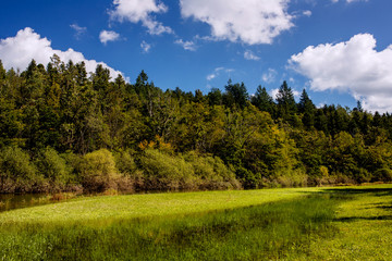 Swamp. Intermittent river. Sunny day.