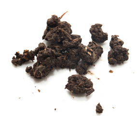 soil on a white background
