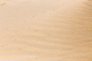 beautiful background of sand in the desert