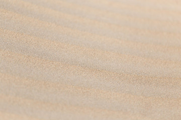 beautiful background of sand in the desert