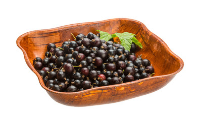 Black currant