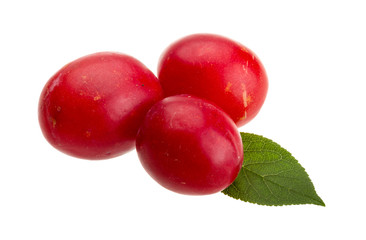 Damson plum