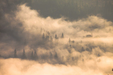 Majestic sunset in the mountains landscape. Carpathian, Ukraine