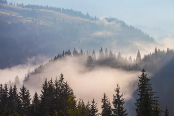 Wall murals Forest in fog Majestic sunset in the mountains landscape. Carpathian, Ukraine