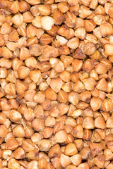 background of buckwheat. close-up