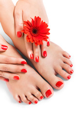 Woman with beautiful red manicured nails