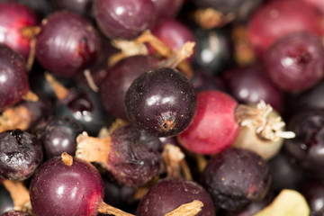 currants. close-up