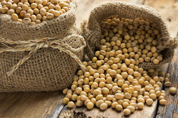 Soy beans
