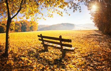 Herbstlandschaft mit Sonnenschein