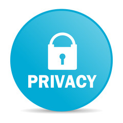 privacy internet icon