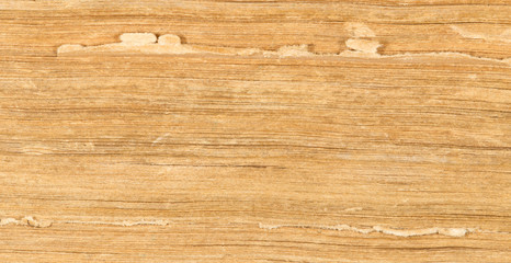 background of old book pages. close-up