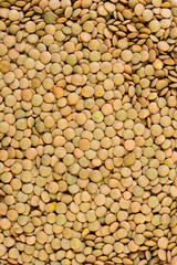 Lentil background