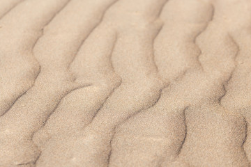 background of sand